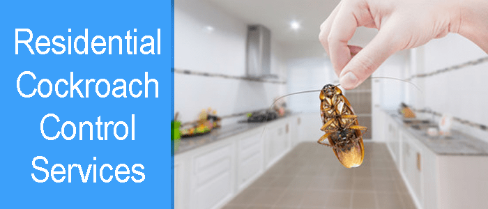 Residential Cockroach Control Service